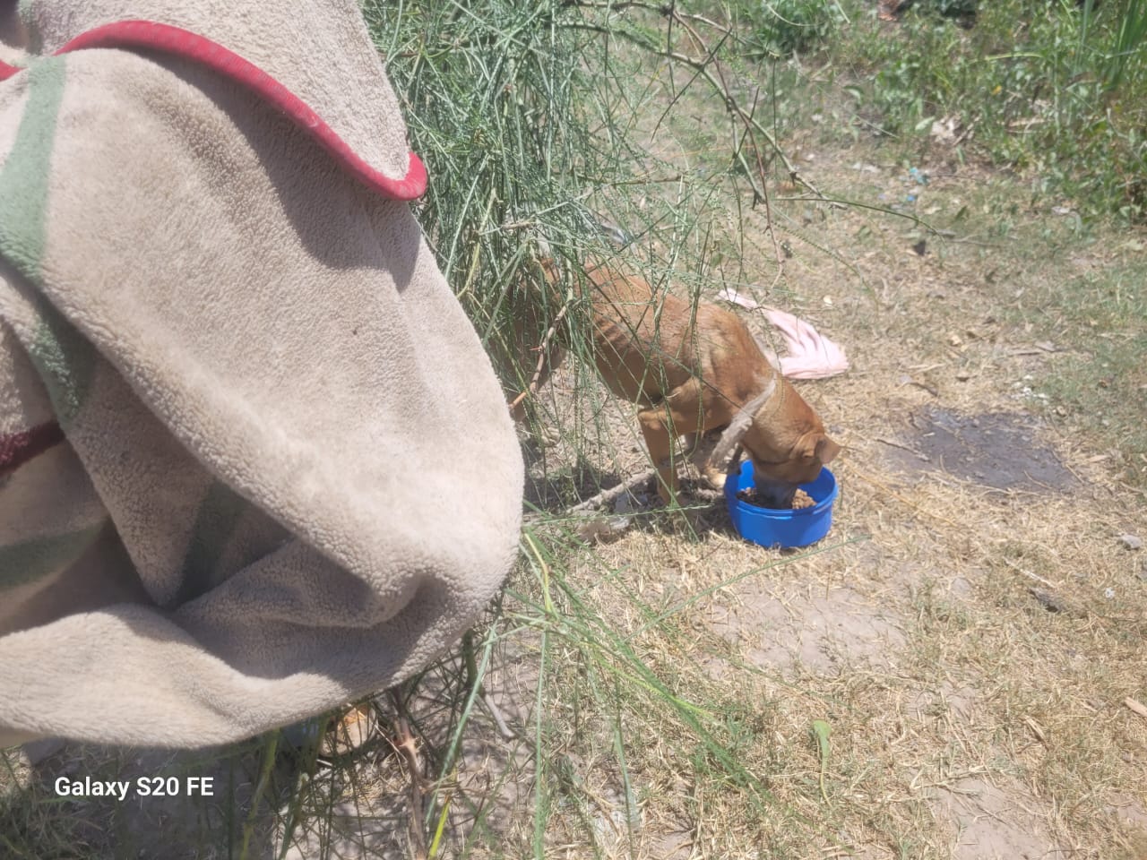 Rescate en Palmarcito - Puerto Vilelas