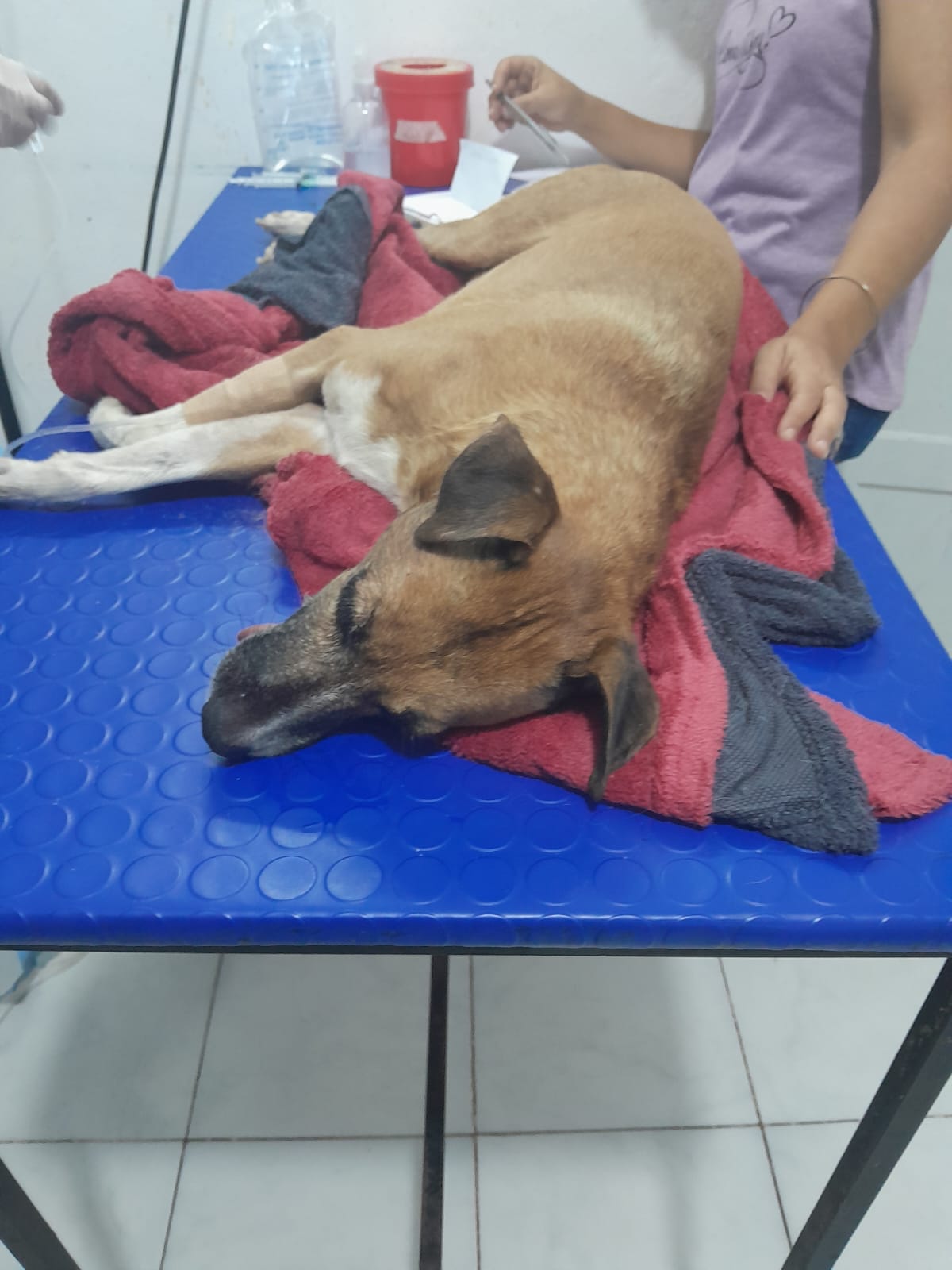 Rescate en Semana Santa