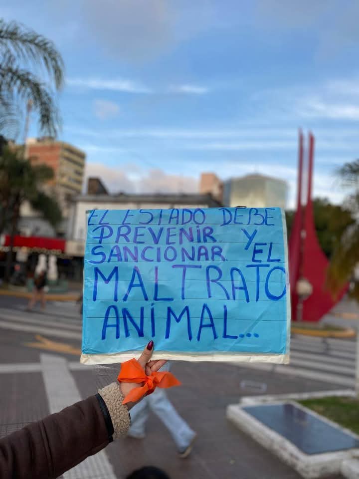 Unidos por la salud animal
