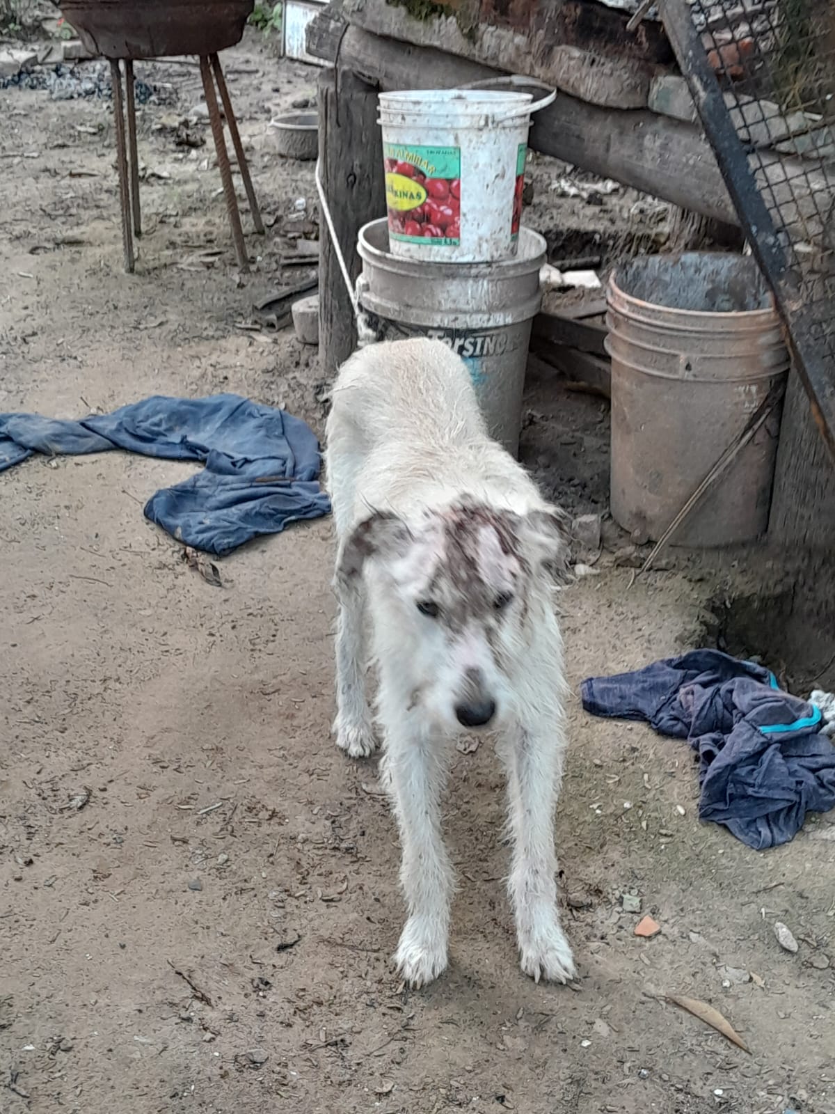 Seguimos acompañando su recuperación