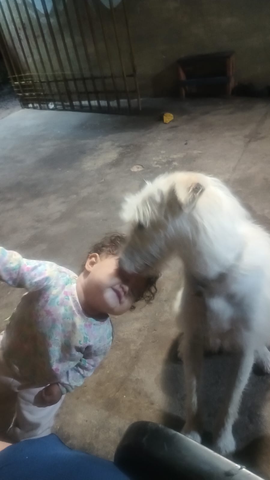 Recuperación que emociona