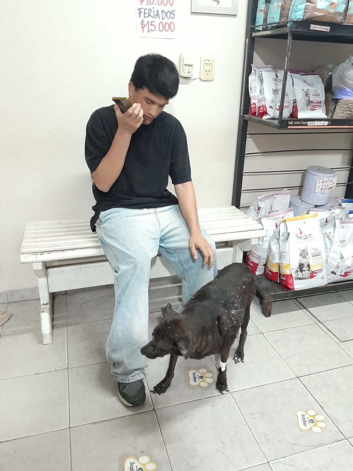 Esperanzas para una perrita