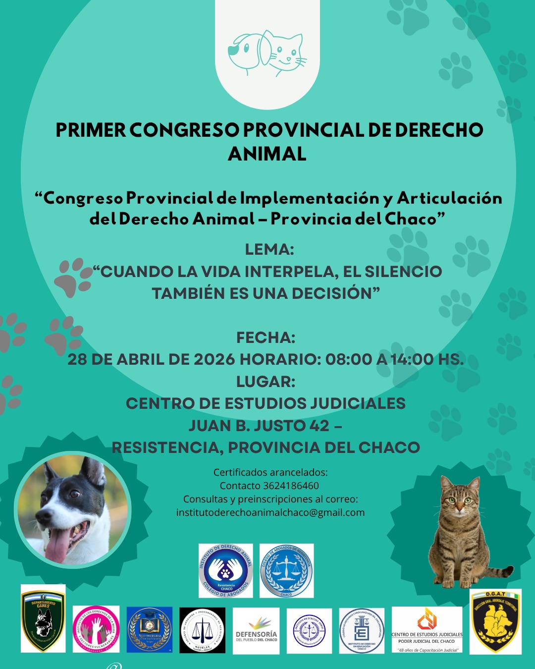 Imagen actividad