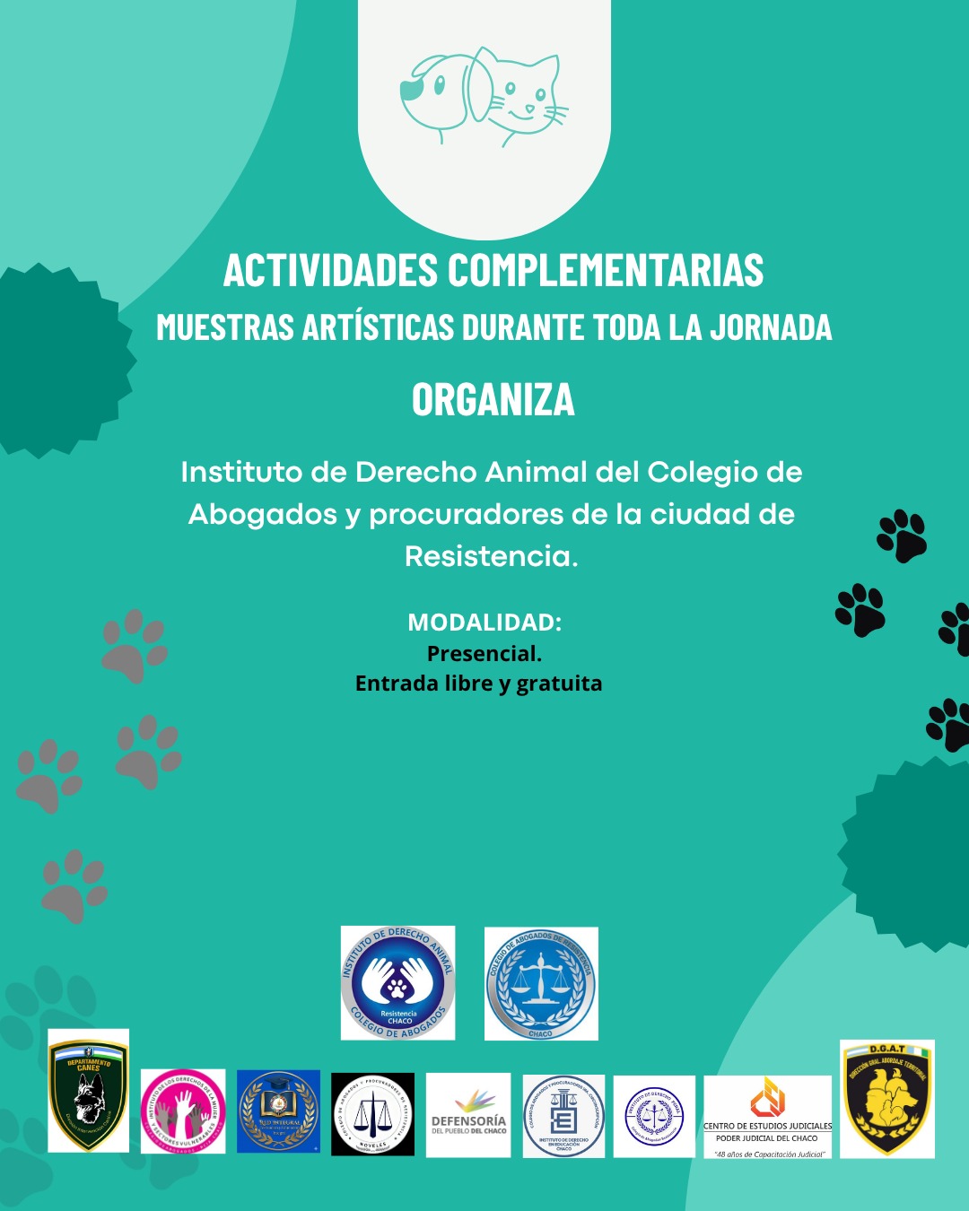 Imagen actividad