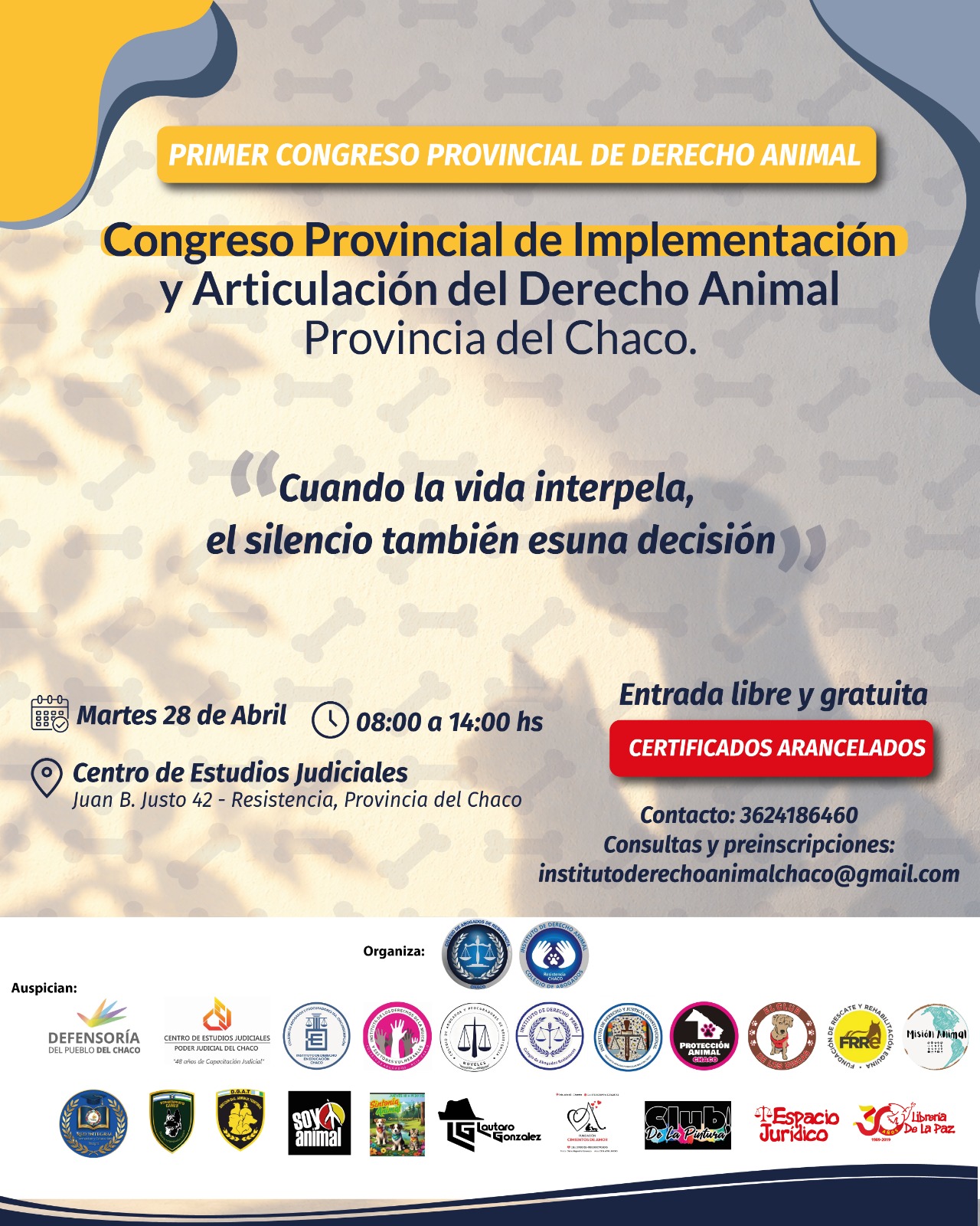 Imagen actividad
