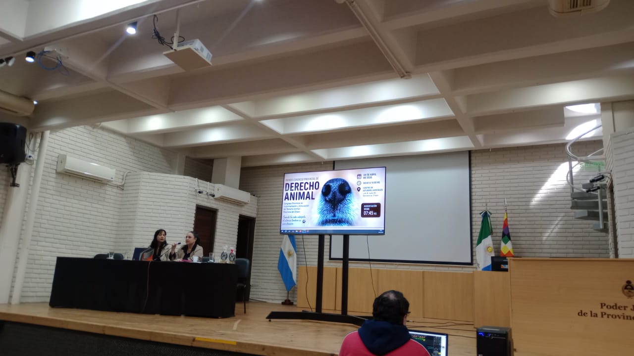 Asistencia al Congreso sobre Maltrato Animal