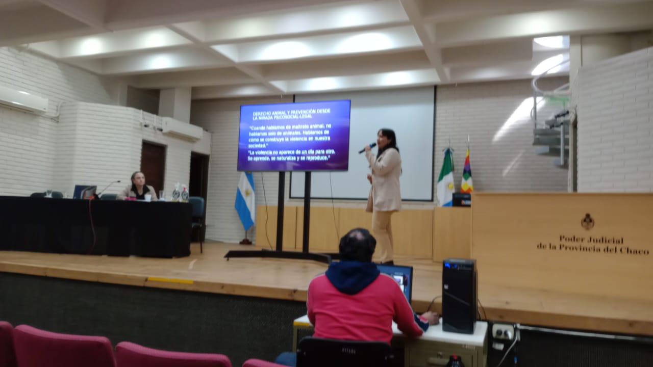 Imagen actividad