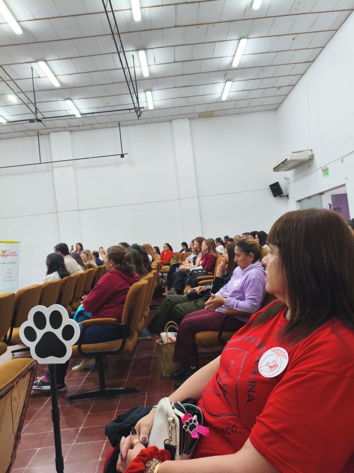 Imagen actividad